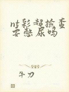 nt彩超检查需要憋尿吗