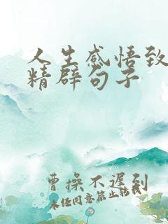 人生感悟致自己精辟句子