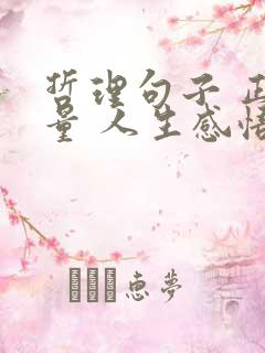 哲理句子 正能量 人生感悟 现实