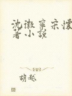 沈徽宁宋怀砚原著小说