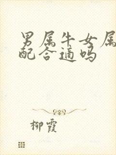 男属牛女属龙婚配合适吗