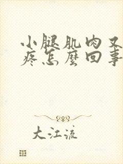 小腿肌肉又酸又疼怎么回事