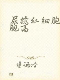 尿检红细胞白细胞高