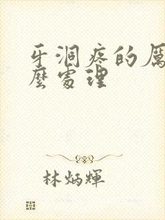 牙洞疼的厉害怎么处理