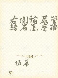 右侧输尿管下段结石怎么排出