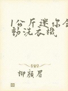 1公斤迷你全自动洗衣机