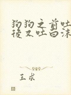 狗狗之前吐黄水后又吐白沫