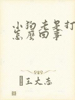 小狗老是打哆嗦怎么回事