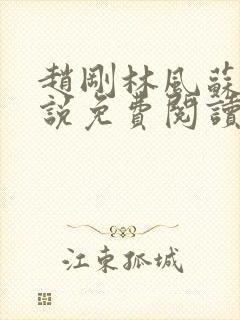 赵刚林风苏柔小说免费阅读全文最新章节