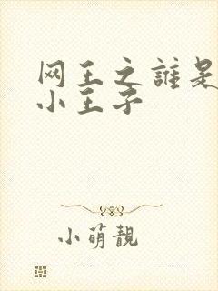 网王之谁是我的小王子