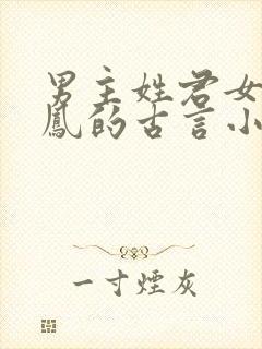 男主姓君女主姓凤的古言小说