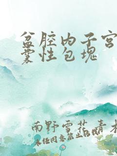 盆腔内子宫后方囊性包块