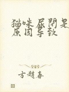 猫咪尿闭是什么原因导致