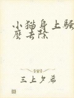 小猫身上骚味怎么去除