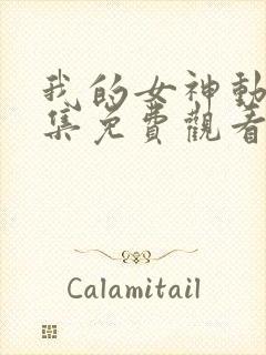 我的女神动漫全集免费观看在线观看