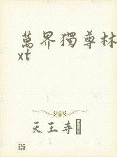 万界独尊林枫txt