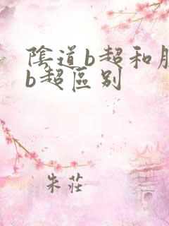 阴道b超和腹部b超区别