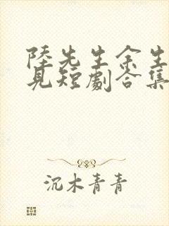 陆先生余生不再见短剧合集