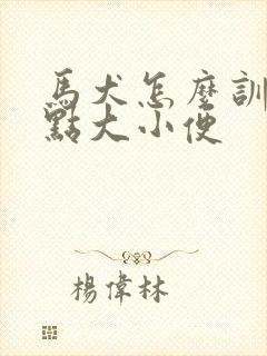 马犬怎么训练定点大小便