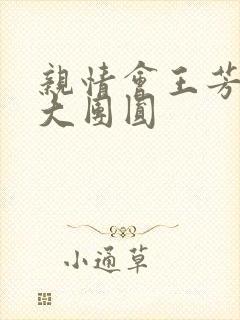 亲情会王芳高敏大团圆