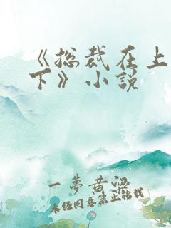 《总裁在上我在下》小说