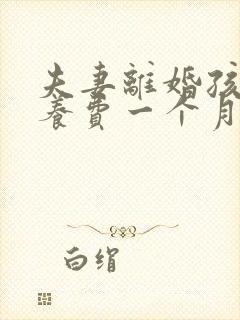 夫妻离婚孩子抚养费一个月多少钱