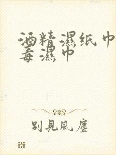 酒精湿纸巾 消毒湿巾