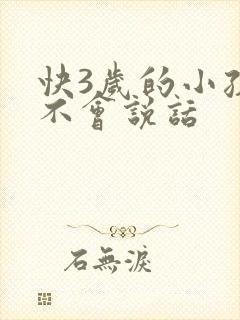 快3岁的小孩还不会说话