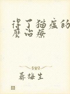 得了猫瘟的猫怎么治疗