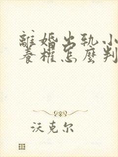 离婚出轨小孩抚养权怎么判