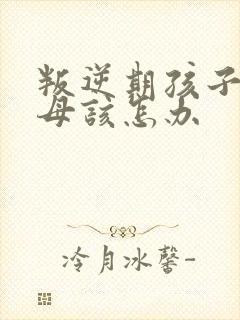 叛逆期孩子骂父母该怎办