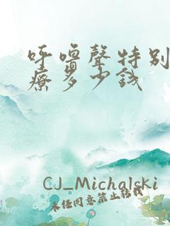 呼噜声特别大治疗多少钱