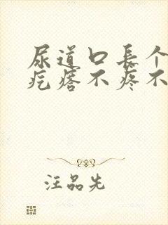 尿道口长个小肉疙瘩不疼不痒