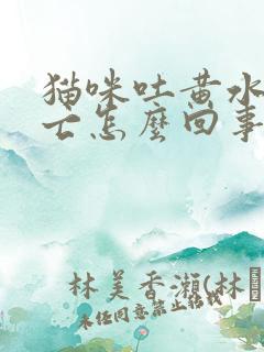 猫咪吐黄水后死亡怎么回事