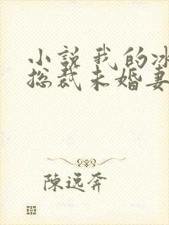 小说 我的冰山总裁未婚妻