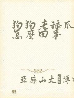 狗狗老舔爪子是怎么回事