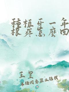 种植牙一年后牙根疼怎么回事