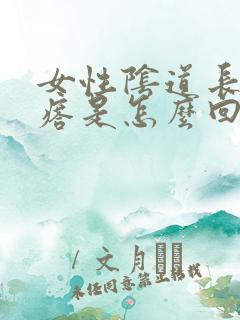 女性阴道长硬疙瘩是怎么回事