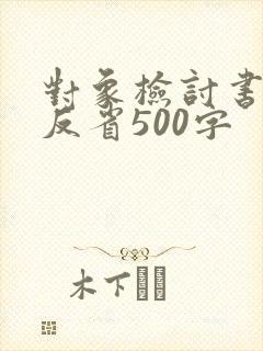 对象检讨书自我反省500字
