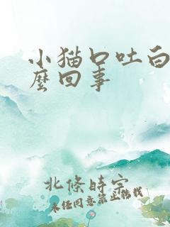 小猫口吐白沫怎么回事