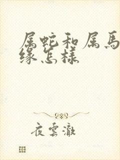 属蛇和属马的姻缘怎样