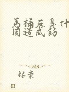 马桶反臭什么原因造成的