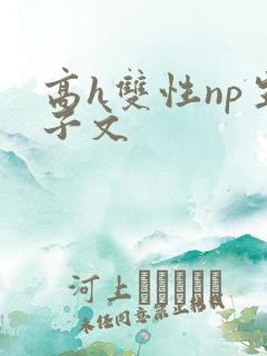 高h双性np生子文