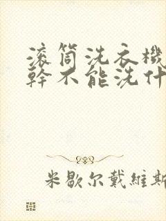 滚筒洗衣机能甩干不能洗什么原因