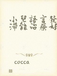 小儿语言发育迟滞能治疗好吗