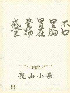 感觉胃里不消化食物在胸口堵着