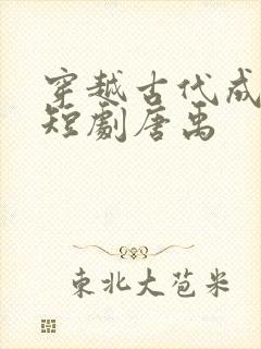 穿越古代成赘婿短剧唐禹