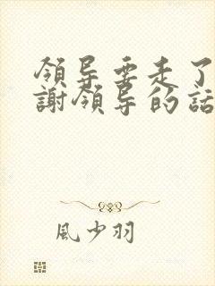 领导要走了,感谢领导的话简短精辟