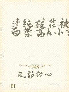 清纯校花被灌满白浆高h小说