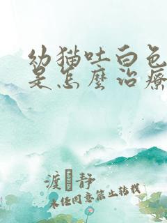 幼猫吐白色泡沫是怎么治疗